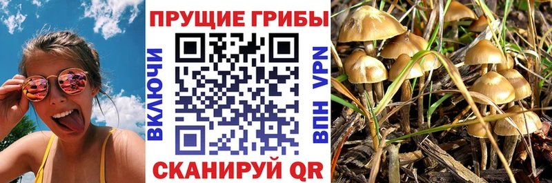 Галлюциногенные грибы ЛСД  мега рабочий сайт  Аркадак 