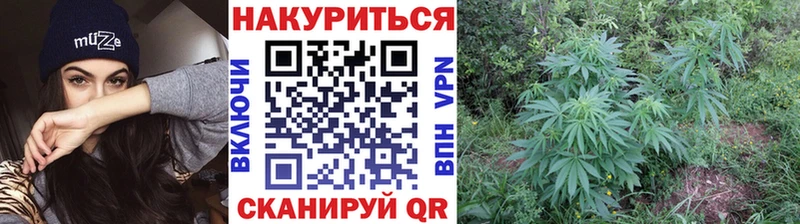 Бошки марихуана LSD WEED  Аркадак 